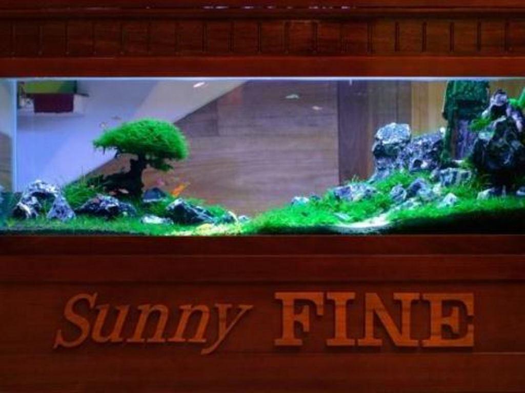 Sunny Fine Guesthouse Hué Eksteriør billede